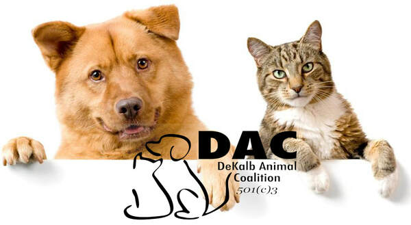 DeKalb Animal Coalition